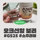 GS25동두천샤인점 | [내돈간단리뷰] GS25 편의점 신상 소주, 선양 오크보리 솔직 후기
