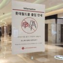 다시 럭키를 꿈꿔요