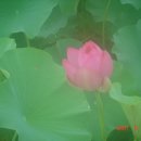 왕궁산장 이미지