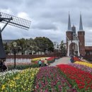 보스라멘 이미지