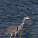 수리수리CAR수리 이미지