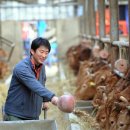 마산농장 이미지