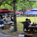 해피데이 이미지