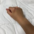 거창주짓수 이미지