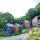 금강송체험야영장 이미지