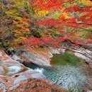 지리산 피아골 평일 단풍산행(11/5,목) - 레포 회장 이미지