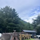 덕산면043 | 월악산_용하야영장 8월 캠핑 후기｜아이와 가기 좋은 실개천 명당 A,B 추천