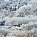 얼음꽃이 활짝 피었습니다…소양강의 ‘겨울동화’ 이미지