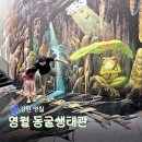 영월동굴생태관 | 영월 동굴생태관 입장료 주차 볼거리