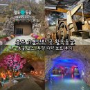 주향유치원 | 충주 가볼만한 곳 활옥동굴, 투명 카약보트 후기, 관람 소요 시간