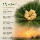 소철과 모내기 이미지
