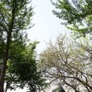 강변 야영장 이미지