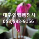 행정사김덕수 이미지