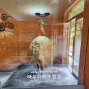 충식농장 | [용인] 용인 농촌테마파크_ 아이와 함께 소풍 가기 좋은 곳! 용인 가족 나들이 추천 장소_ 원두막...