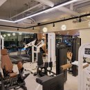 브라운 짐 이미지