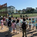 제주동초등학교 병설유치원 뉴스제주