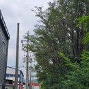 비슬로361길 이미지