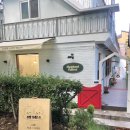 몽땅 포레스트 이미지