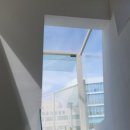 블루오션603호