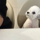 개스토랑 이미지