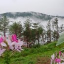 700고지