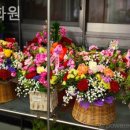 늘봄화원 이미지
