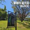 경산 골프장 대구CC 라운드 리뷰 후기, 중·서코스 체험기