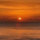 일출추어탕 이미지