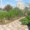 숲사랑유치원 이미지