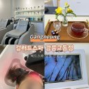 교동 | 강릉 교동 미용실 • 헤드스파 • 컬러드스파 염색방 강릉교동점 후기