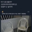 부평금성 | 부평 테마의거리 술집 회뜨는중 후기