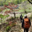 사명대사길 이미지