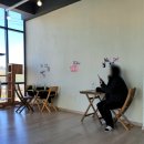 별이랑 놀자 이미지