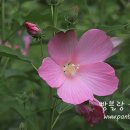 바람의 집 이미지