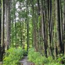 발로바쉬 민박 이미지