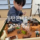동탄 몬테소리 호수 키즈퀘스천몬테소리 2주차 솔직 후기