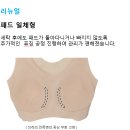 [리뉴얼] '심리스 퓨징 브라' 리뉴얼 및 재출시 일정공지안내 이미지