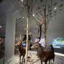 전곡선사박물관 이미지