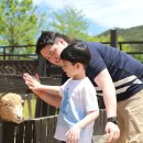 호텔 별 이미지