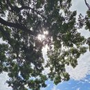 연화정도서관 화장실 이미지