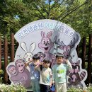 5월 2주) 인천대공원 어린이동물원 봄소풍🐒💚 이미지