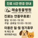 해솔 동물병원 이미지