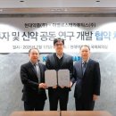 로스 이미지