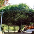 종로-종로-종로-종-254 이미지