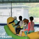 청솔매점 | 대구 근교 글램핑장 추천 경북 고령 청솔글램핑 재방문후기 아이랑 가기 좋은 미온수 수영장까지