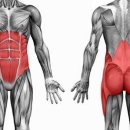 휘트니스오름 이미지