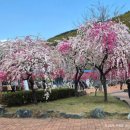 도화보건지소 이미지