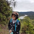 7월 4일 정기산행 Wairoa lool Track 이미지