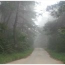 가을동화펜션 이미지