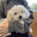 몽글몽글 이미지